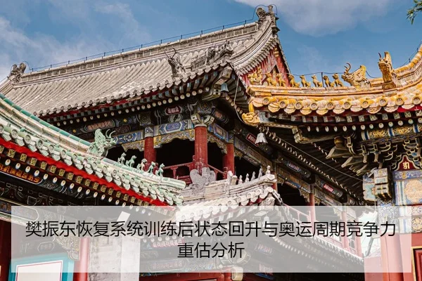 樊振东恢复系统训练后状态回升与奥运周期竞争力重估分析